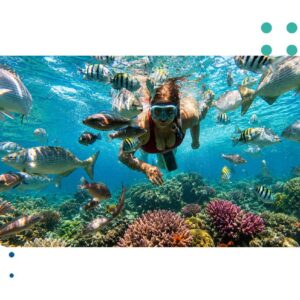 Excursión Islas Del Rosario Y Playa Blanca De Barú Con Snorkel O Acuario